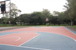 Basketball Court